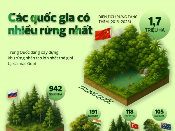[Infographic] Việt Nam thuộc top 5 quốc gia tăng rừng nhiều nhất thế giới